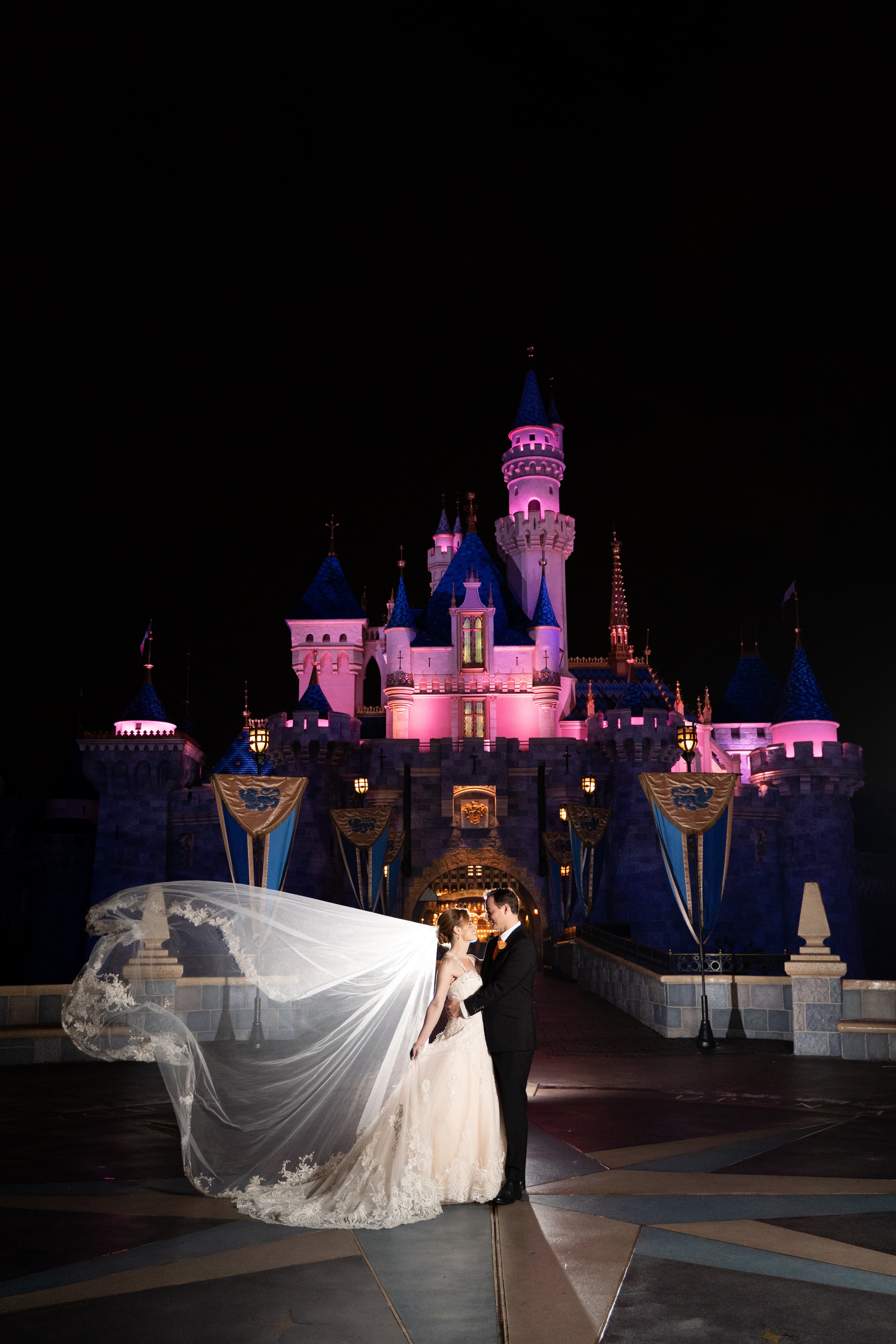 Castle, veil, midnight.