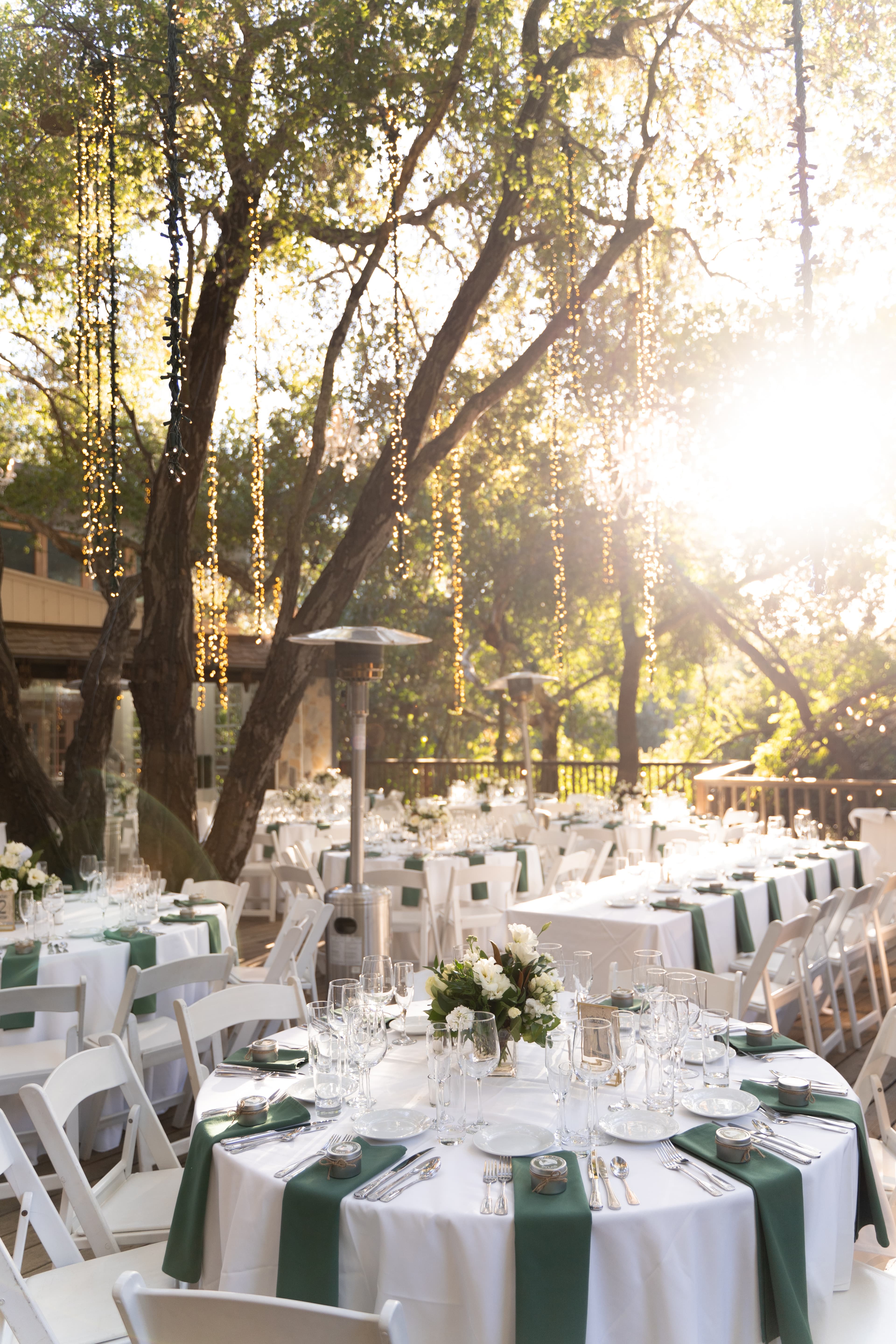 Long tables, oaks above.