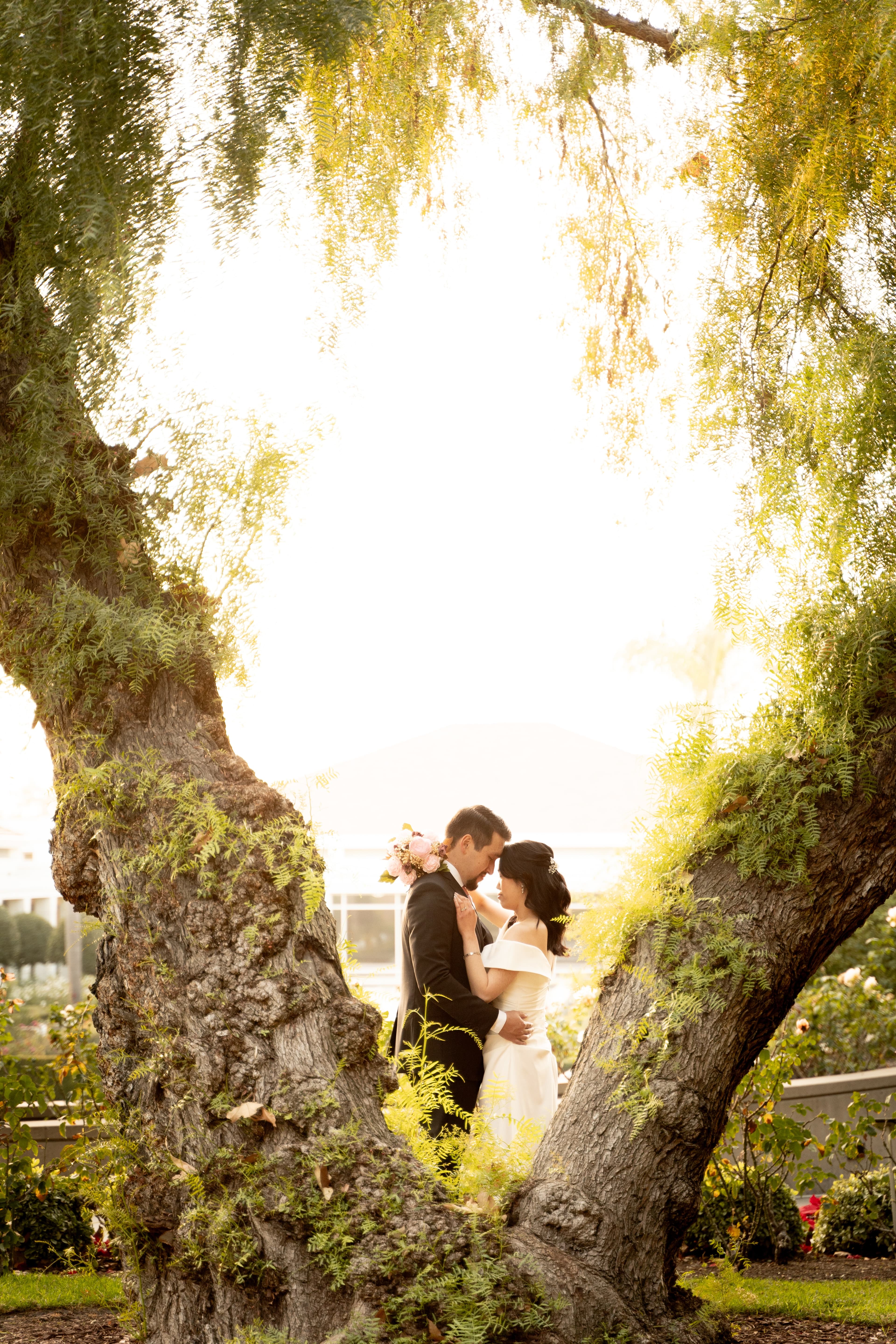 Inside the willow.